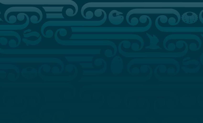 Te Ohu Kaimoama – Brand Illustration